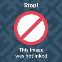 ankdammen